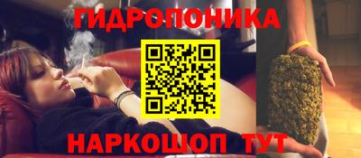дмт Краснодар
