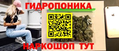дмт Краснодар