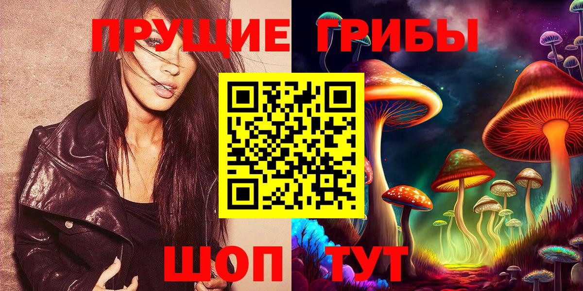 Донской  наркота  Вход с VPN  Псилоцибиновые грибы мицелий 